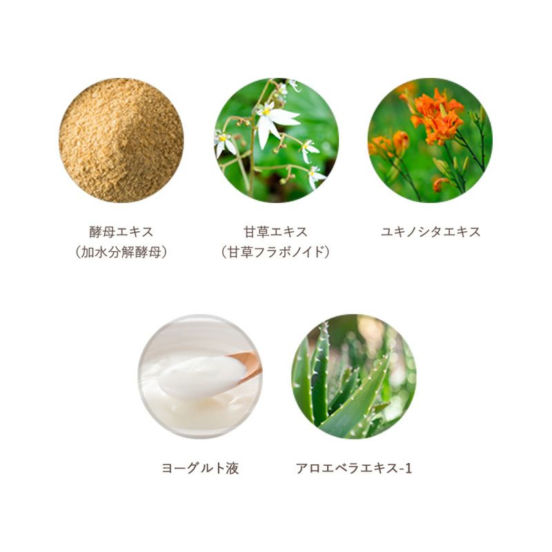 メリー フェアリー ダスト コンパクト | LE WATOSA公式オンラインショップ